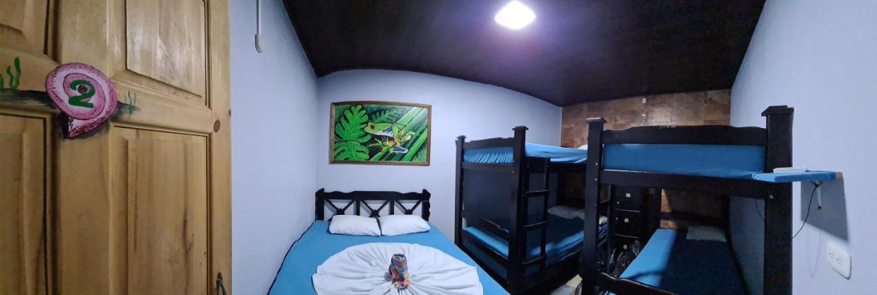 Hostel Tortuguero 7Backpackers Extérieur photo