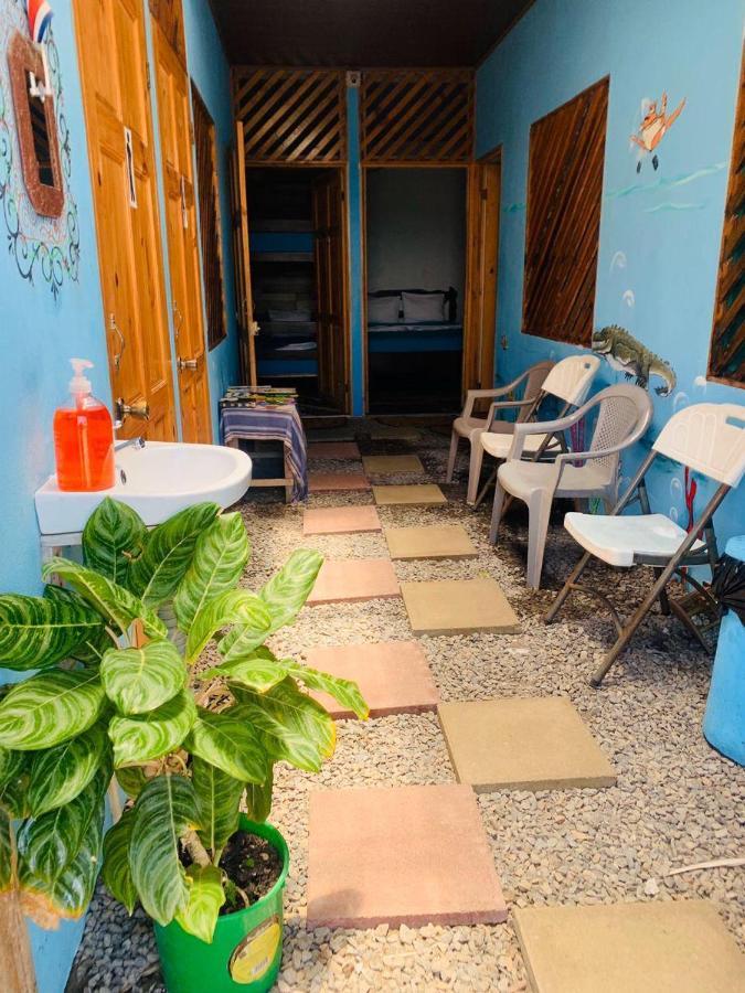Hostel Tortuguero 7Backpackers Extérieur photo
