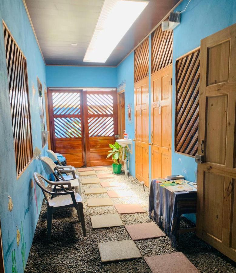 Hostel Tortuguero 7Backpackers Extérieur photo