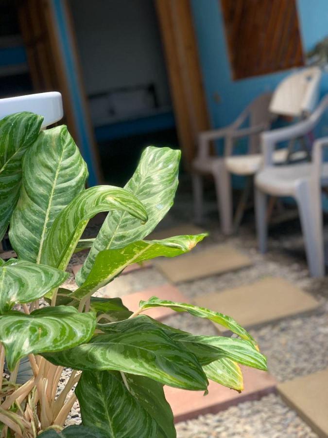 Hostel Tortuguero 7Backpackers Extérieur photo
