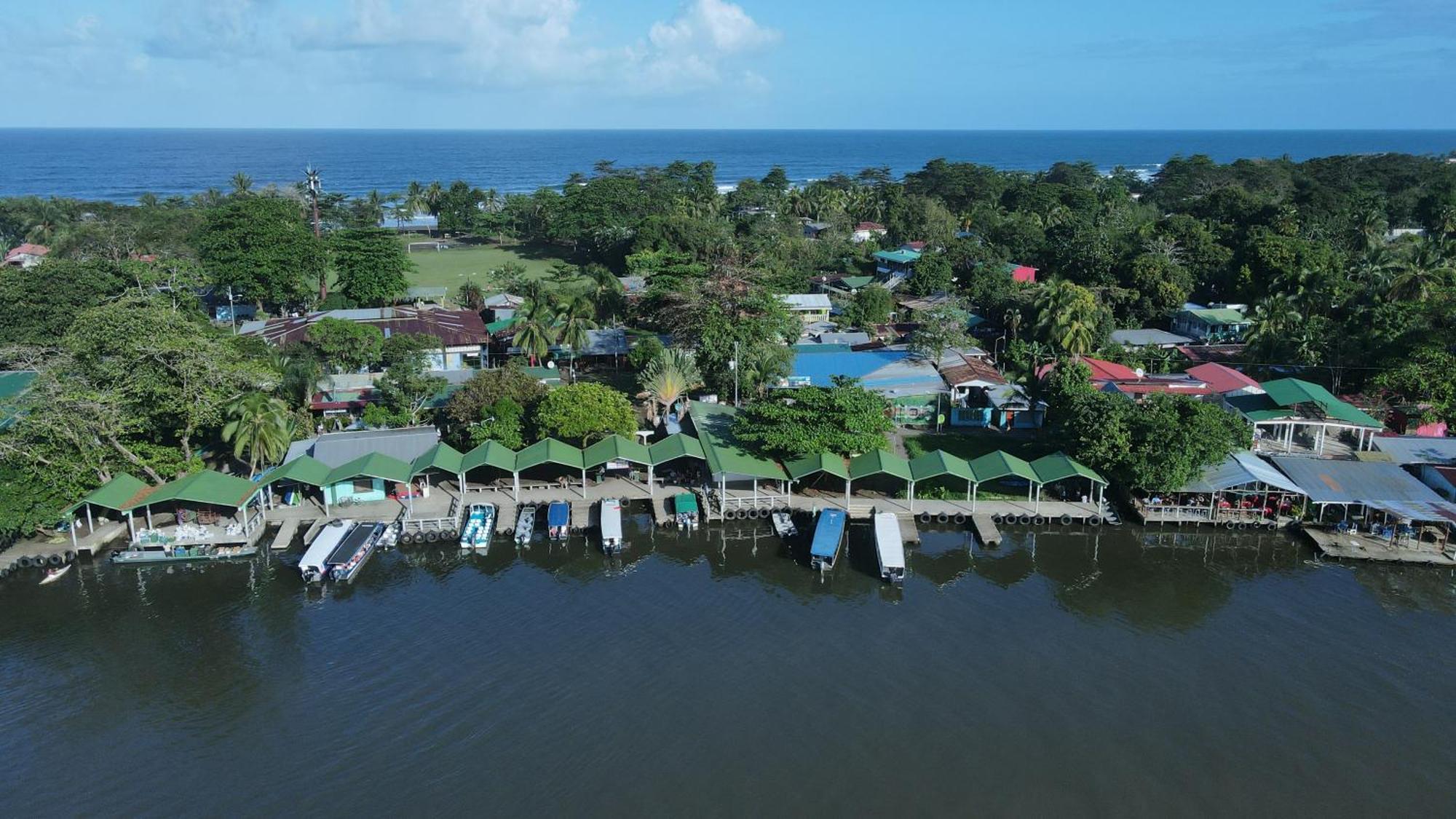 Hostel Tortuguero 7Backpackers Extérieur photo