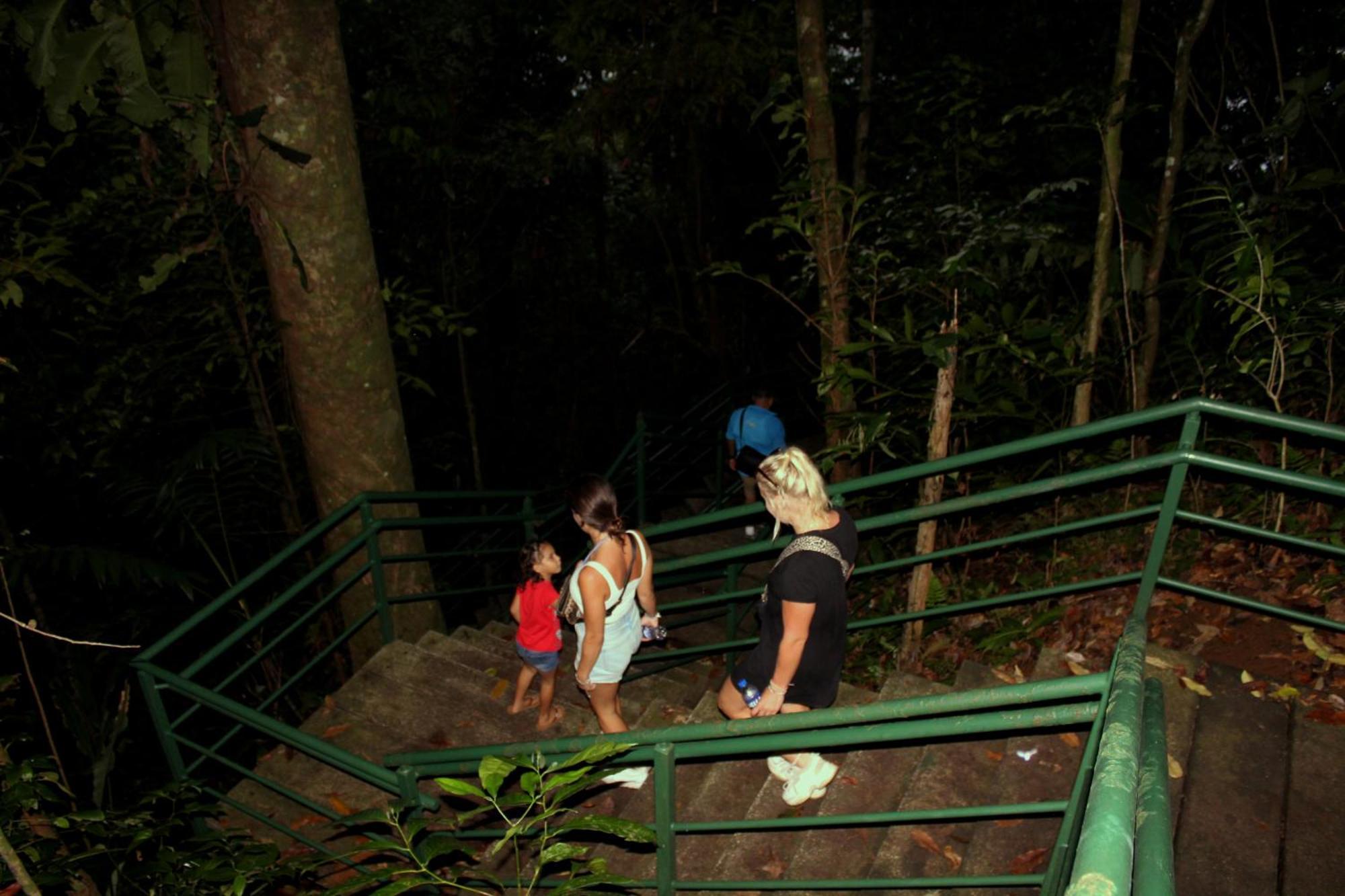 Hostel Tortuguero 7Backpackers Extérieur photo